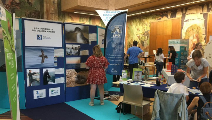 Rétrospective OceanWeek 2022
